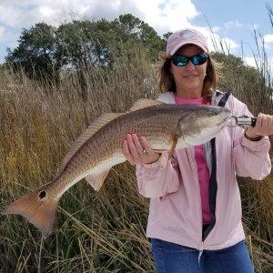 Inshore Fishing Charter Redfish