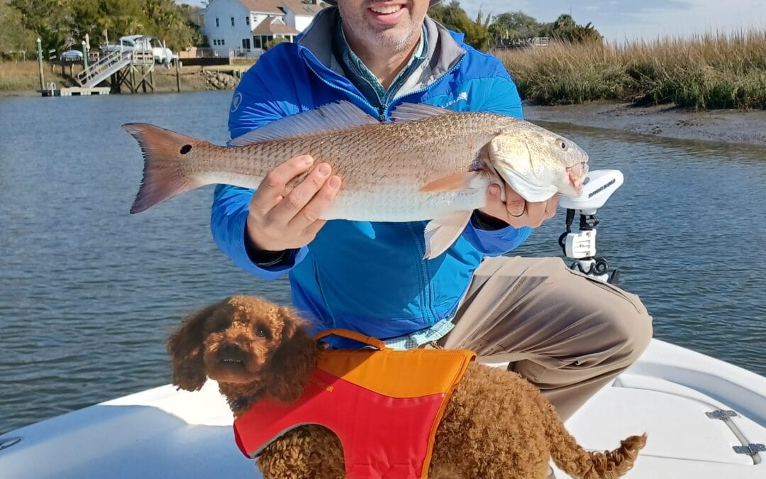 Charter fishing in Charleston and Folly Beach fishing report